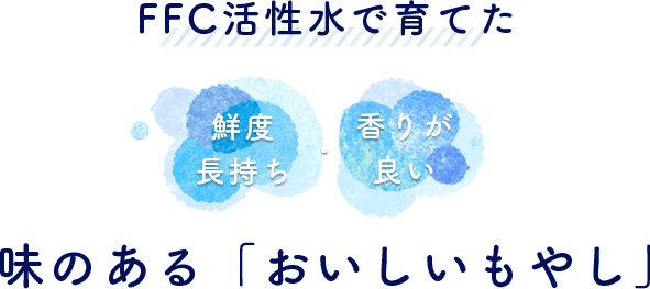 FFC活性水で育てた鮮度長持ち・香りが良い味のある「おいしいもやし」